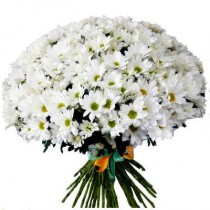 Букет з 51 білої кущової хризантеми